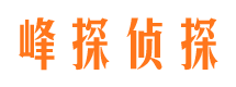 惠山市调查公司